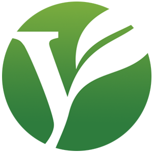 Healthy Surplus brand logo icon