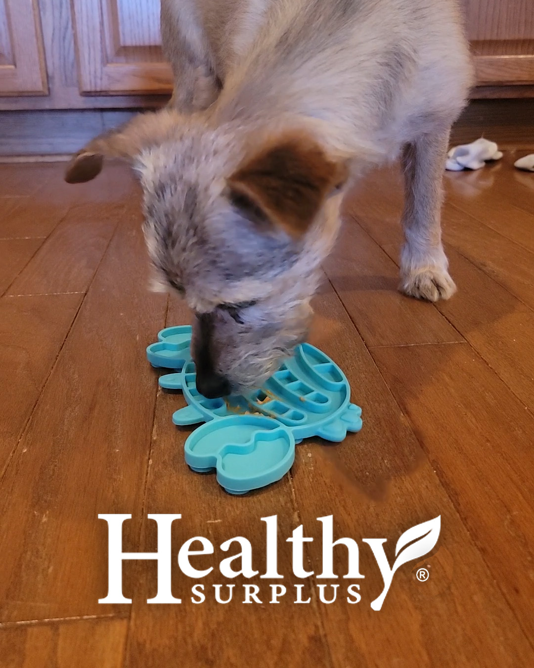 instagram-posts-1080x1350