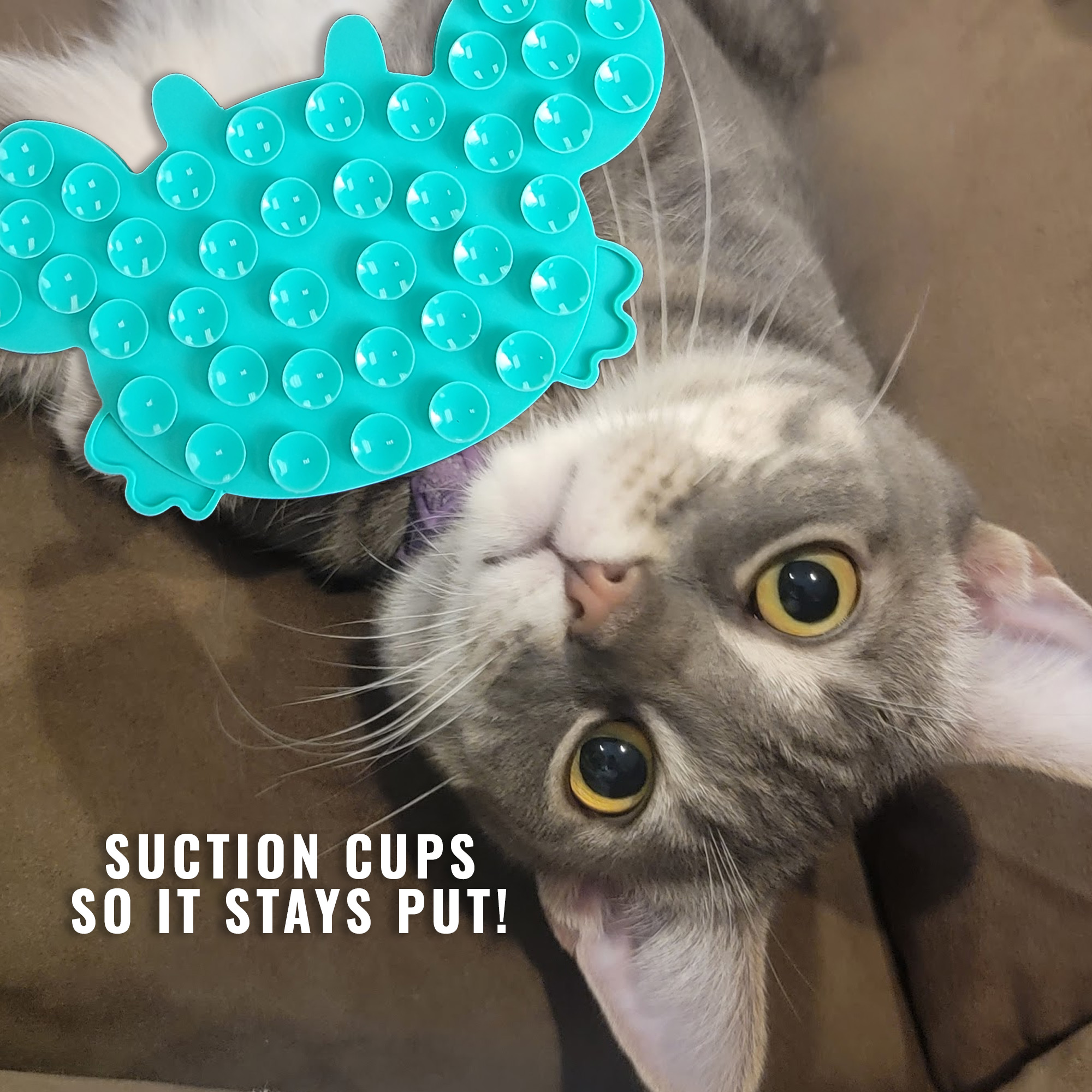 suction-cups